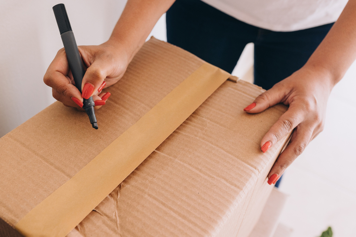 Hiring Local Movers in Tampa Bay